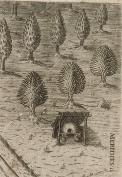 Arcis Carolinae delineatio, 1591 - Représentation du Fort Caroline