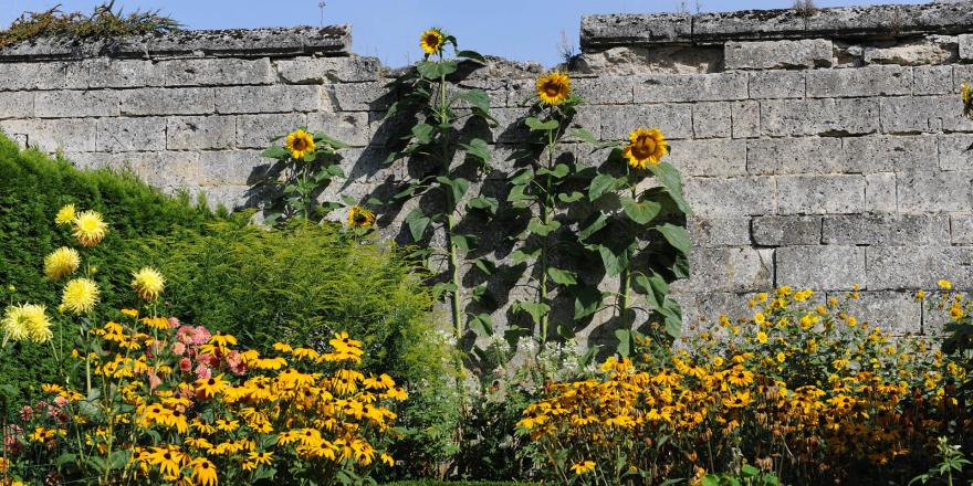 Musée franco-américain du Château de Blérancourt (C) RMN-GP / G. Blot